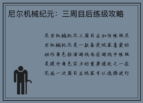 尼尔机械纪元：三周目后练级攻略