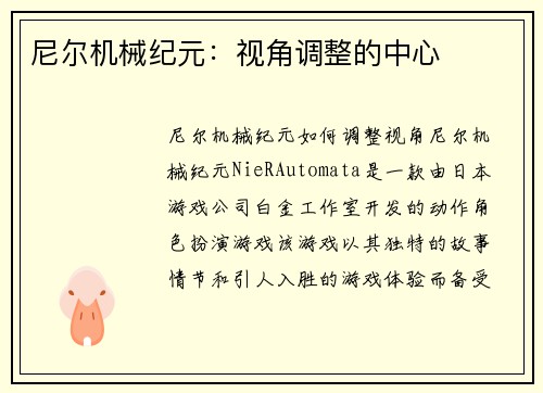 尼尔机械纪元：视角调整的中心